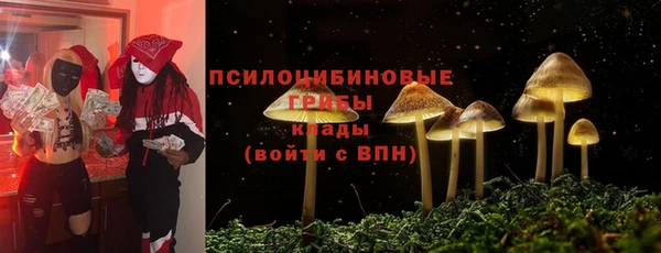 прущий лед Осинники