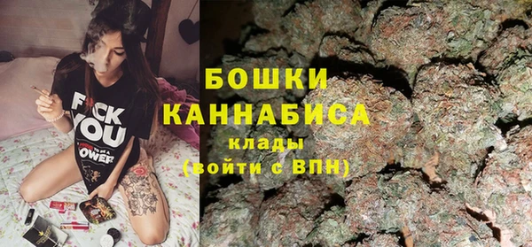 прущие грибы Пересвет
